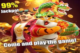 538 bet com