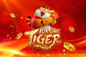 538 bet com